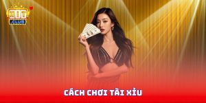 Chi Tiết Cách Chơi Tài Xỉu Từ A Đến Z Cho Dân Newbie